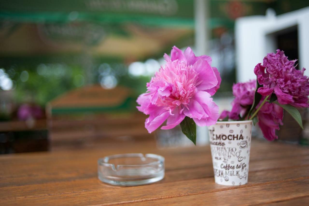Pension Florica Pitesti Luaran gambar